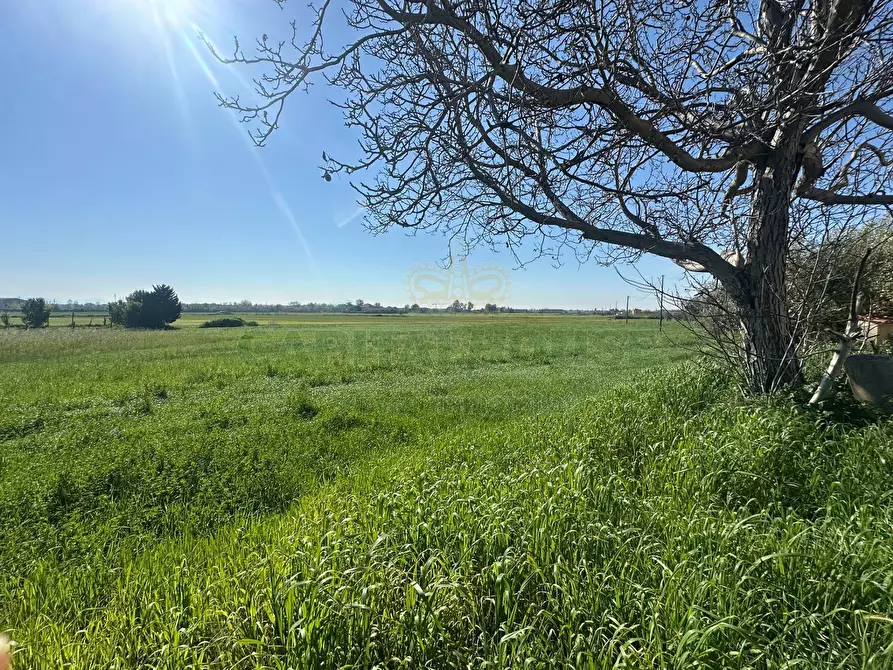 Immagine 4 di Terreno residenziale in vendita  in VIA SILVAGNI a Capua