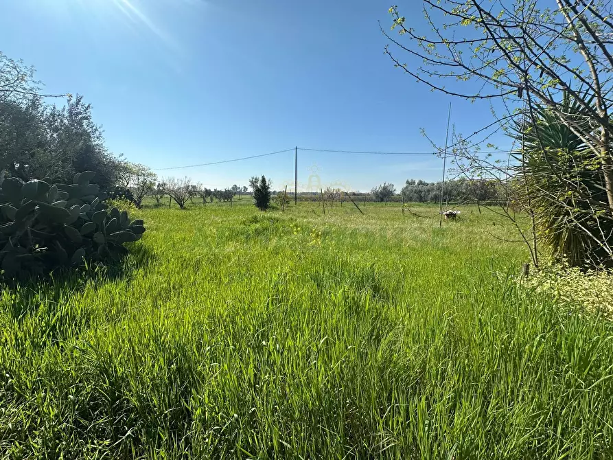 Immagine 2 di Terreno residenziale in vendita  in VIA SILVAGNI a Capua