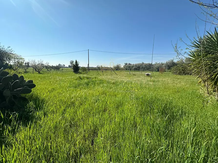 Immagine 3 di Terreno residenziale in vendita  in VIA SILVAGNI a Capua