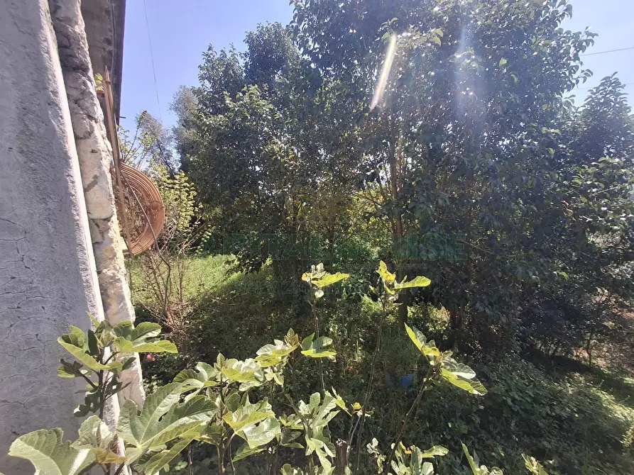 Immagine 24 di Villa in vendita  in Via della Fornace a Mercato San Severino