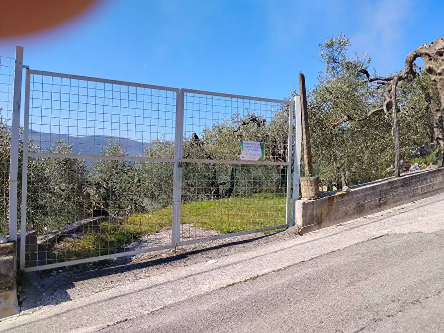 Immagine 1 di Terreno agricolo in vendita  in sirignano a Sirignano