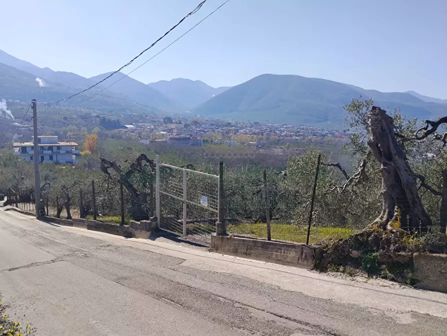 Immagine 2 di Terreno agricolo in vendita  in sirignano a Sirignano