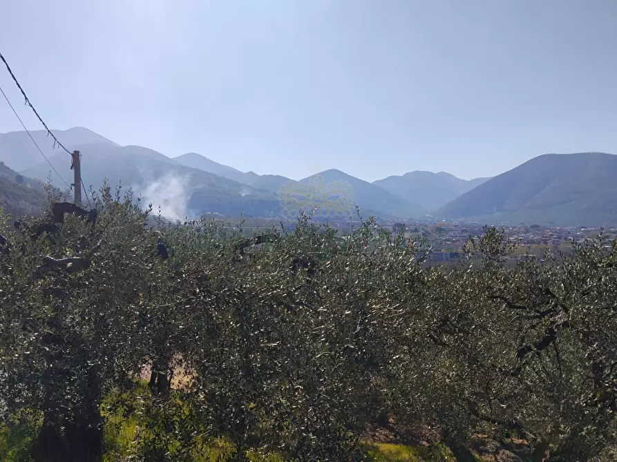Immagine 3 di Terreno agricolo in vendita  in sirignano a Sirignano