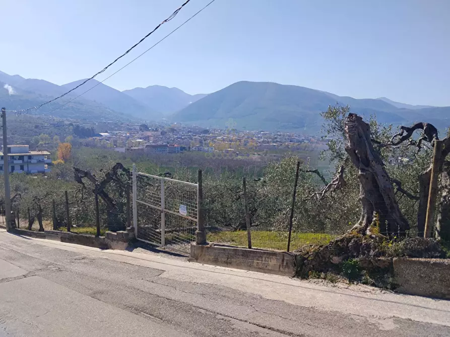 Immagine 4 di Terreno agricolo in vendita  in sirignano a Sirignano