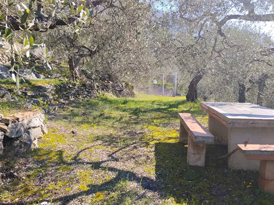 Immagine 6 di Terreno agricolo in vendita  in sirignano a Sirignano