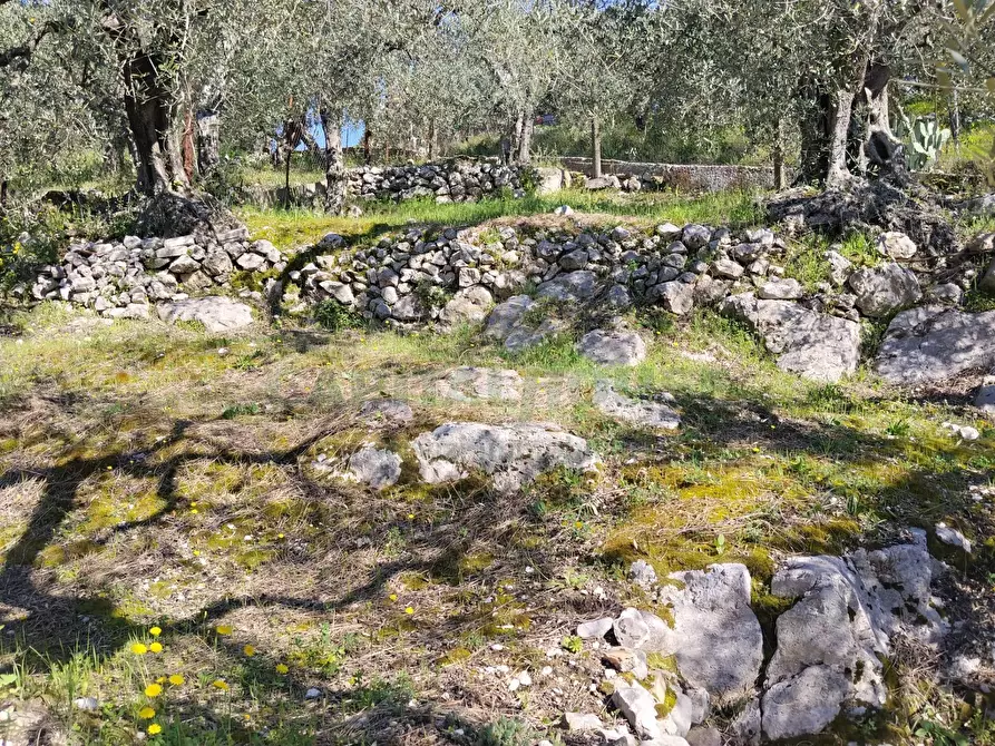 Immagine 7 di Terreno agricolo in vendita  in sirignano a Sirignano