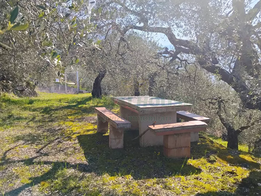 Immagine 9 di Terreno agricolo in vendita  in sirignano a Sirignano