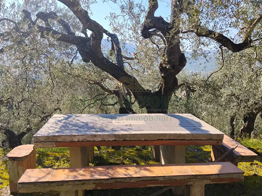 Immagine 10 di Terreno agricolo in vendita  in sirignano a Sirignano