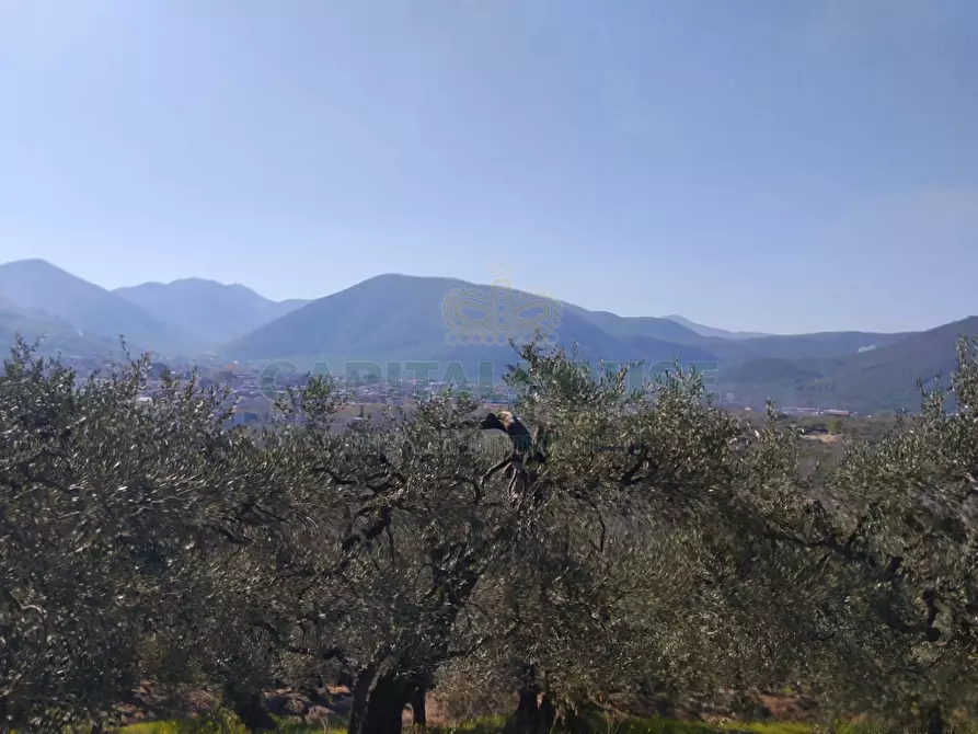 Immagine 12 di Terreno agricolo in vendita  in sirignano a Sirignano