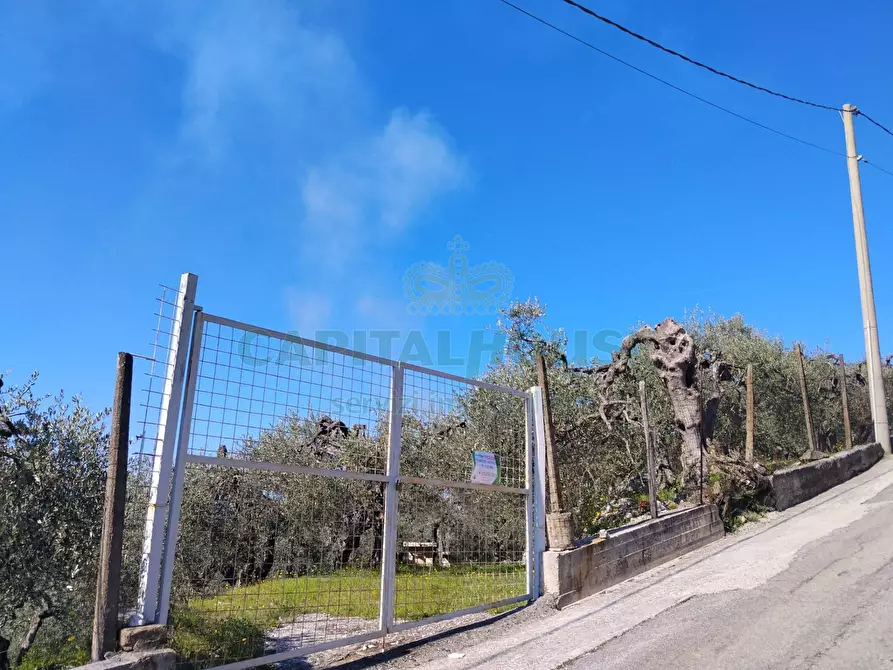 Immagine 17 di Terreno agricolo in vendita  in sirignano a Sirignano
