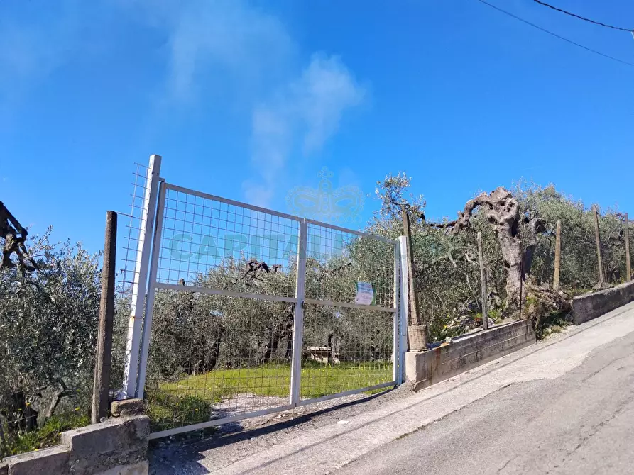 Immagine 18 di Terreno agricolo in vendita  in sirignano a Sirignano