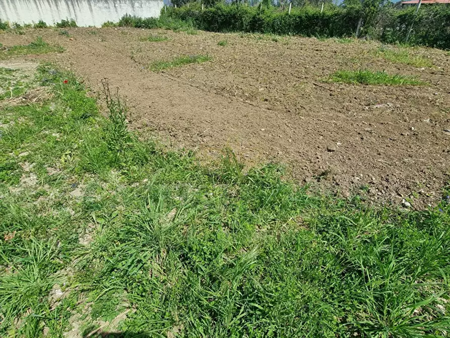 Immagine 1 di Terreno residenziale in vendita  a Marcianise
