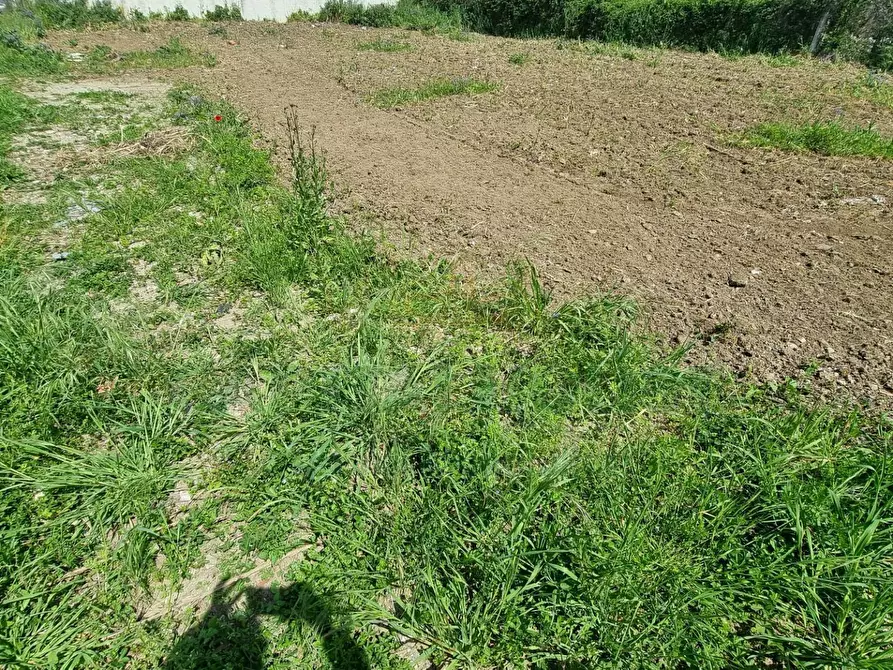 Immagine 3 di Terreno residenziale in vendita  a Marcianise