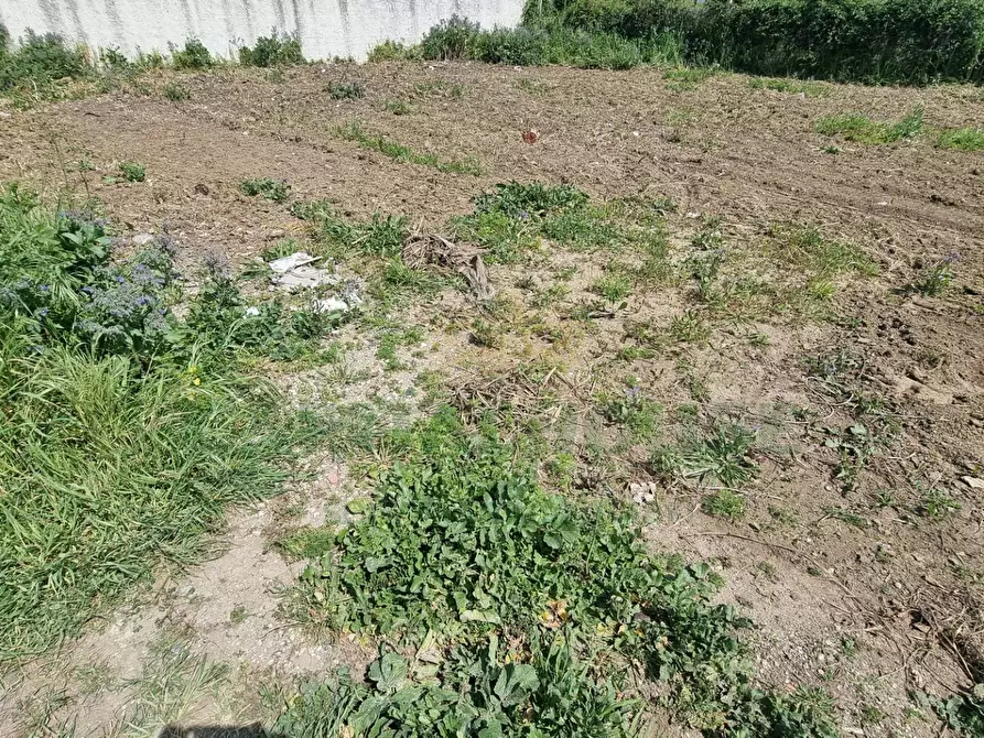 Immagine 4 di Terreno residenziale in vendita  a Marcianise