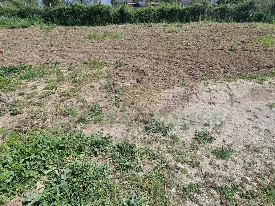Immagine 5 di Terreno residenziale in vendita  a Marcianise