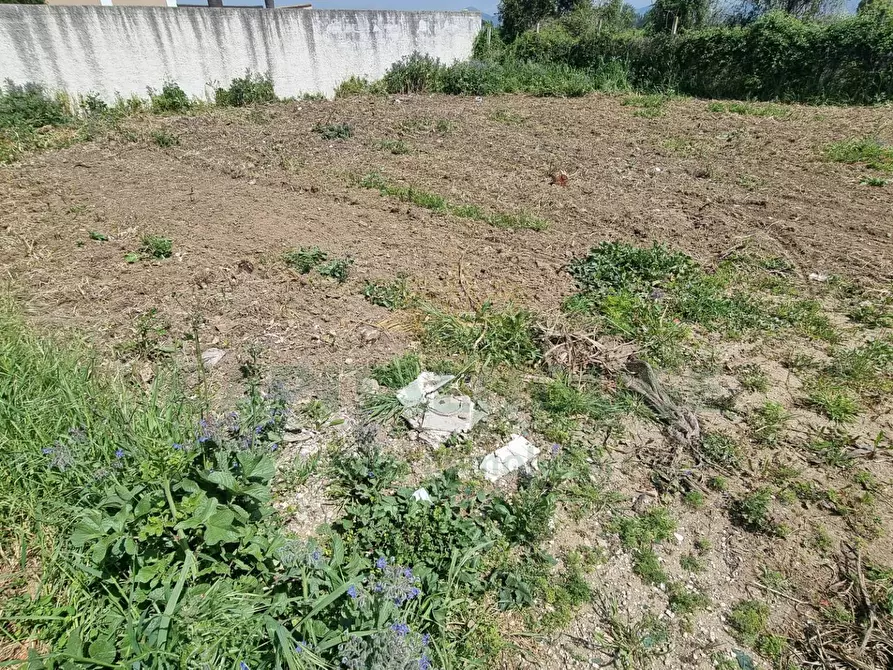 Immagine 7 di Terreno residenziale in vendita  a Marcianise