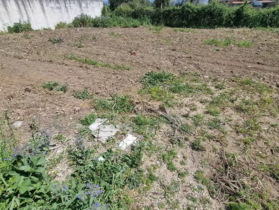 Immagine 8 di Terreno residenziale in vendita  a Marcianise