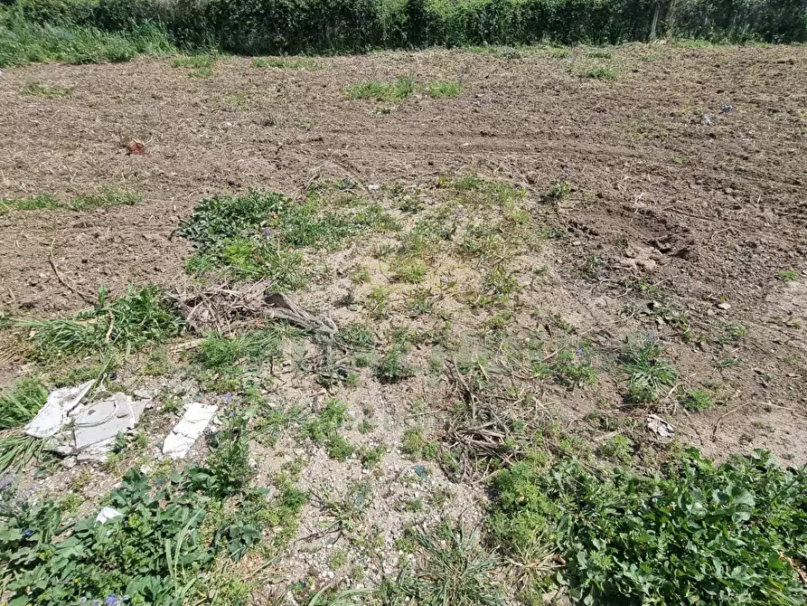 Immagine 9 di Terreno residenziale in vendita  a Marcianise