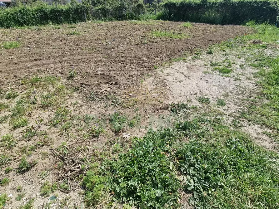 Immagine 10 di Terreno residenziale in vendita  a Marcianise