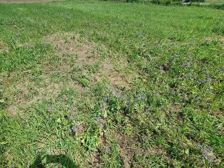 Immagine 1 di Terreno residenziale in vendita  a Marcianise