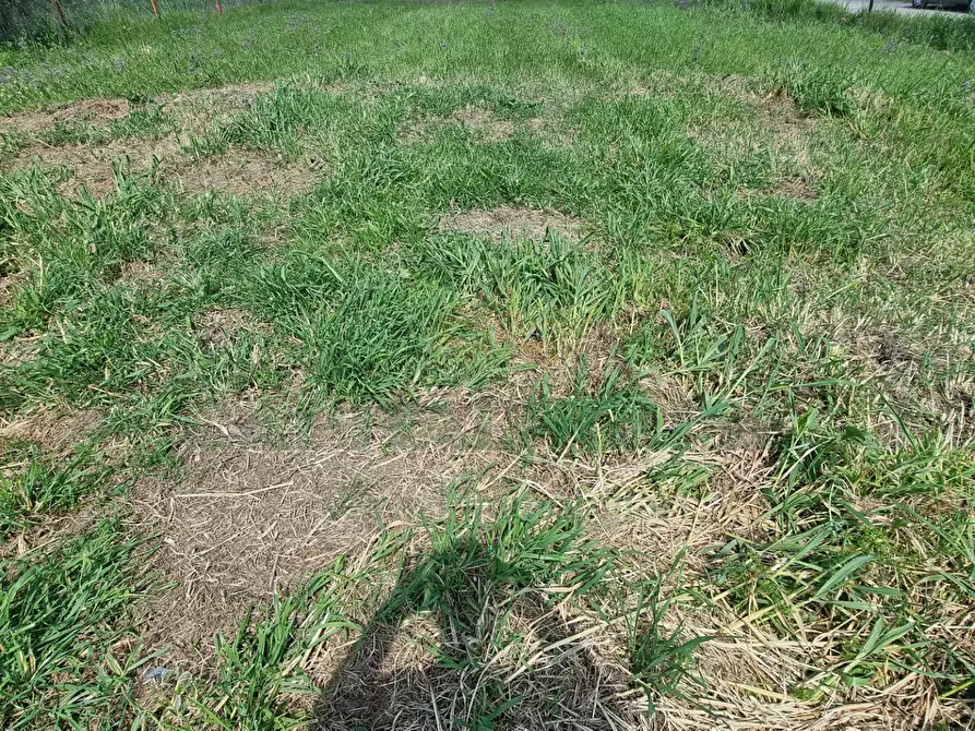 Immagine 3 di Terreno residenziale in vendita  a Marcianise