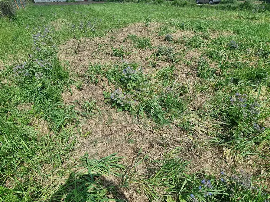 Immagine 4 di Terreno residenziale in vendita  a Marcianise