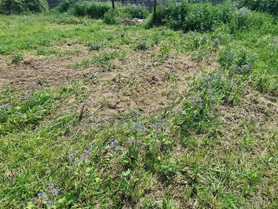 Immagine 7 di Terreno residenziale in vendita  a Marcianise