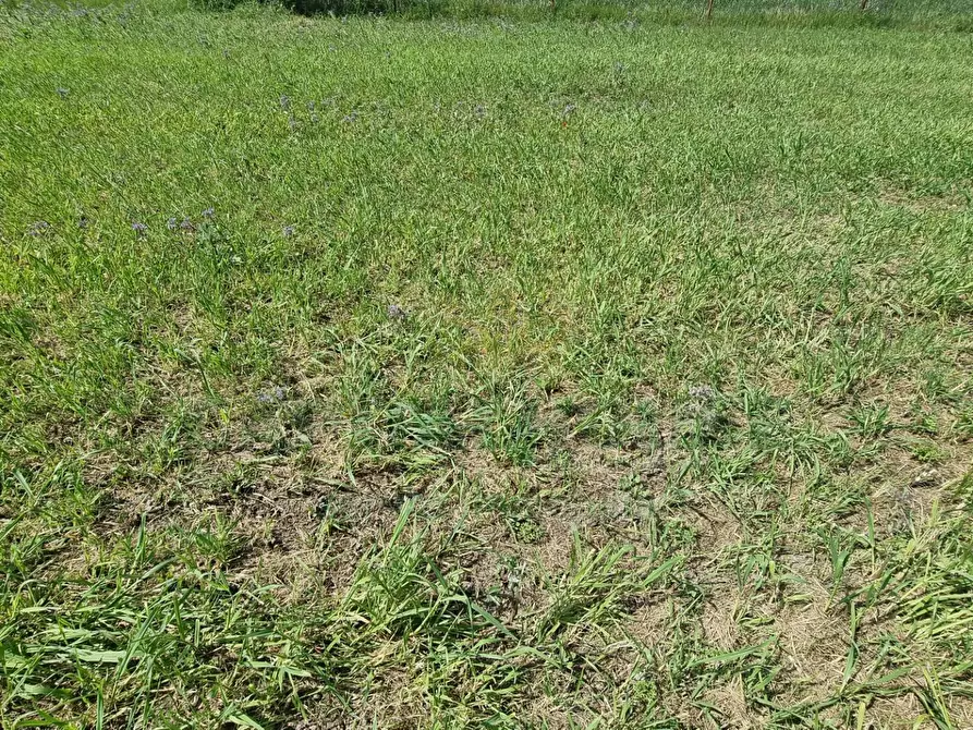 Immagine 9 di Terreno residenziale in vendita  a Marcianise