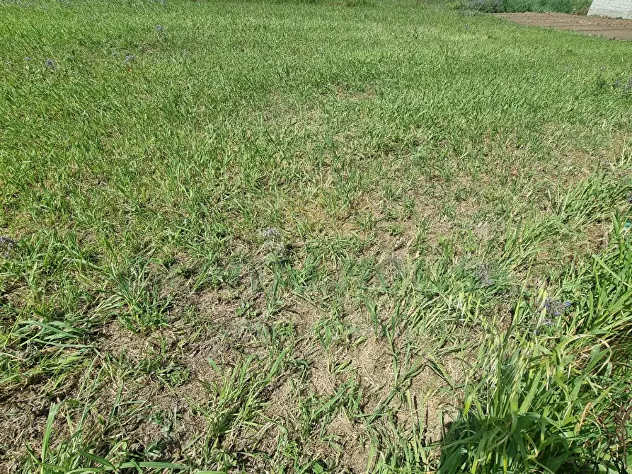 Immagine 10 di Terreno residenziale in vendita  a Marcianise