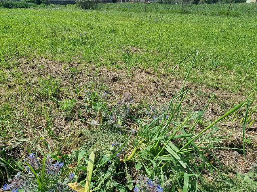 Immagine 11 di Terreno residenziale in vendita  a Marcianise
