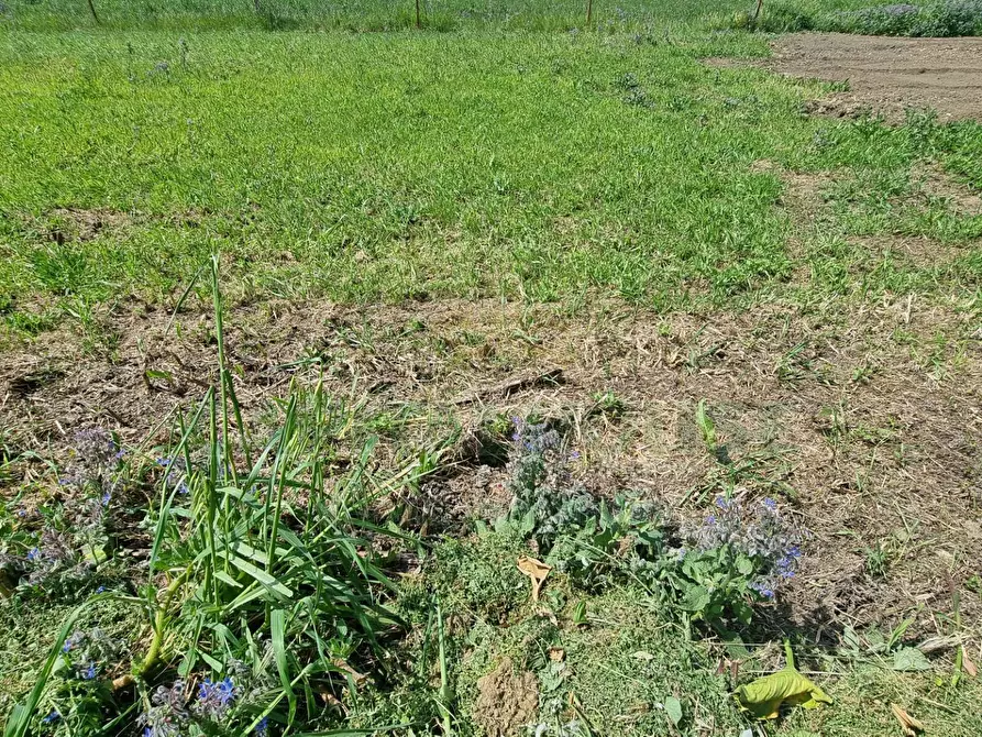 Immagine 12 di Terreno residenziale in vendita  a Marcianise