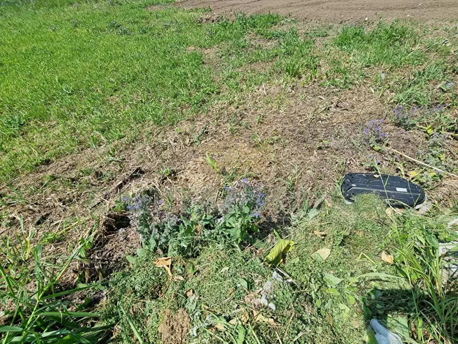 Immagine 13 di Terreno residenziale in vendita  a Marcianise