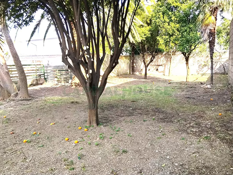 Immagine 6 di Casa indipendente in vendita  in sirignano a Sirignano