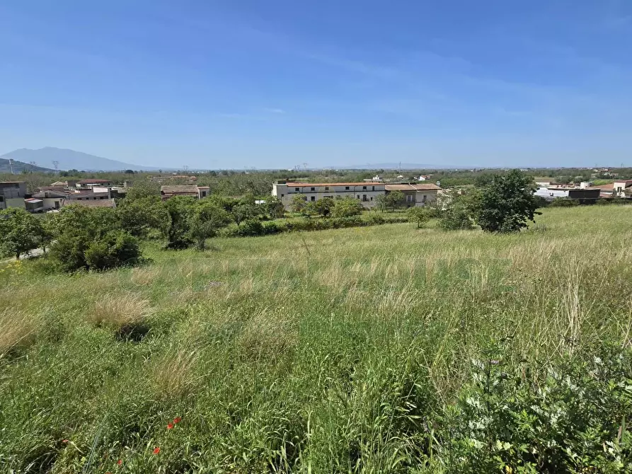 Immagine 5 di Terreno agricolo in vendita  in Via Carmignano a Maddaloni