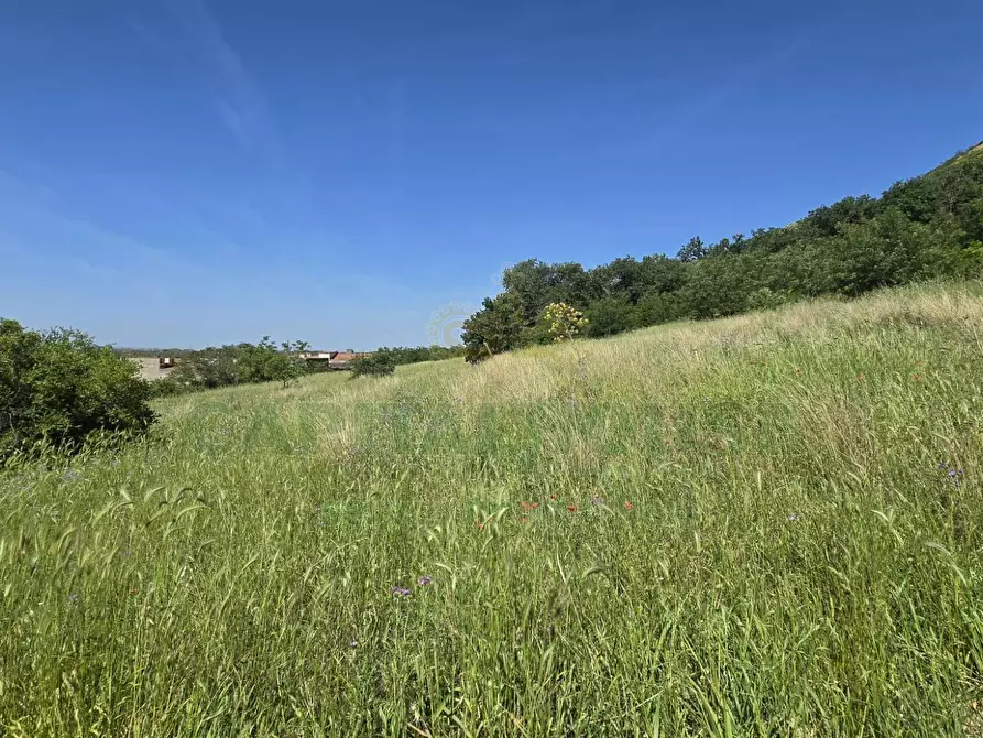 Immagine 6 di Terreno agricolo in vendita  in Via Carmignano a Maddaloni