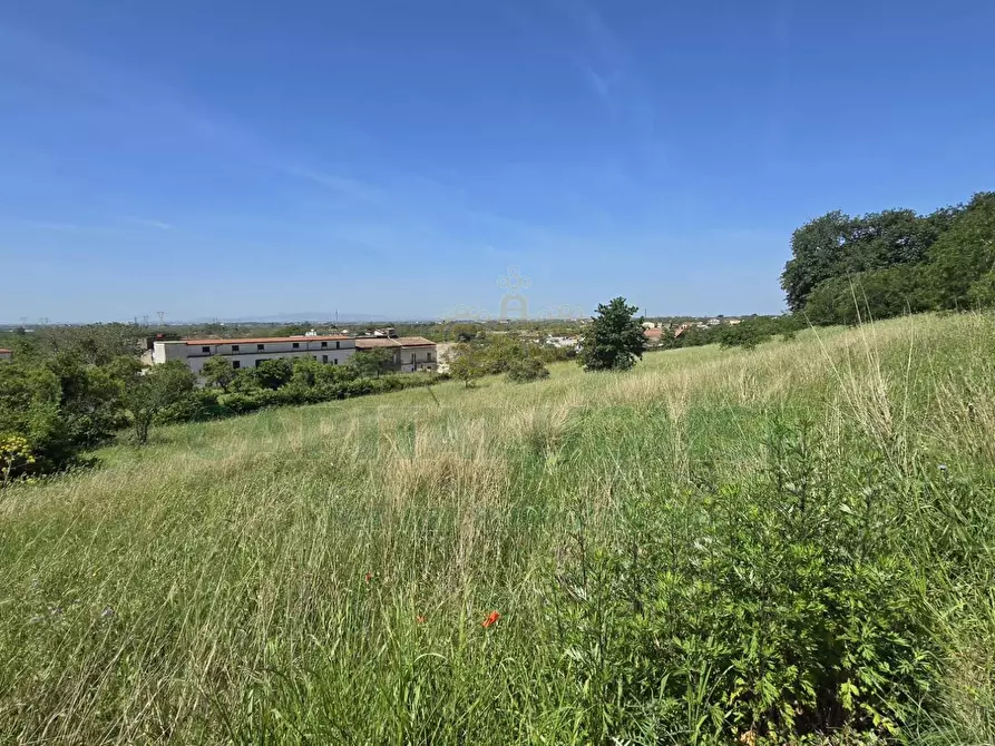 Immagine 7 di Terreno agricolo in vendita  in Via Carmignano a Maddaloni