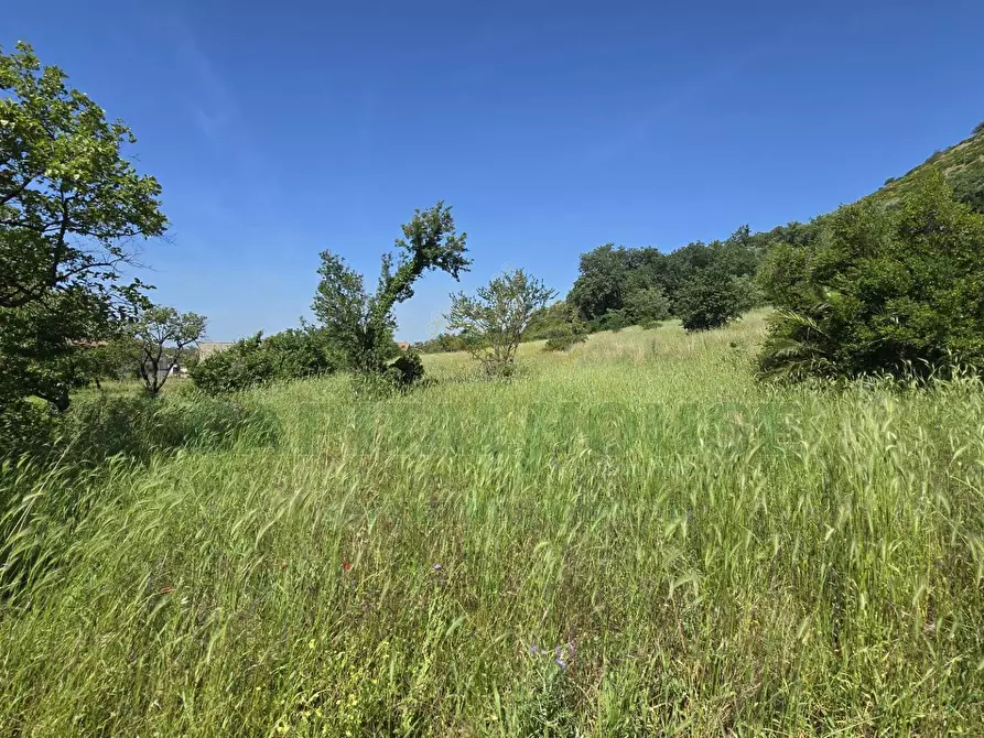 Immagine 8 di Terreno agricolo in vendita  in Via Carmignano a Maddaloni