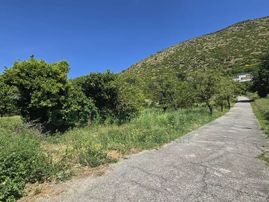 Immagine 12 di Terreno agricolo in vendita  in Via Carmignano a Maddaloni