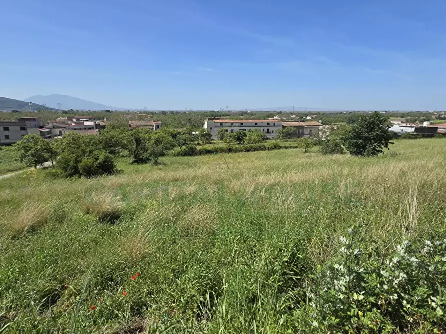Immagine 13 di Terreno agricolo in vendita  in Via Carmignano a Maddaloni