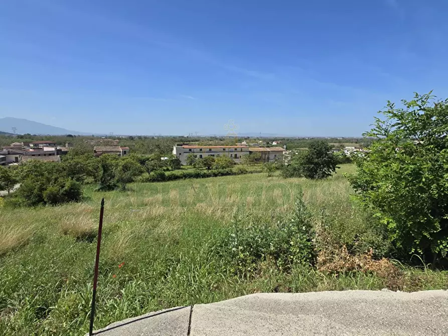 Immagine 14 di Terreno agricolo in vendita  in Via Carmignano a Maddaloni