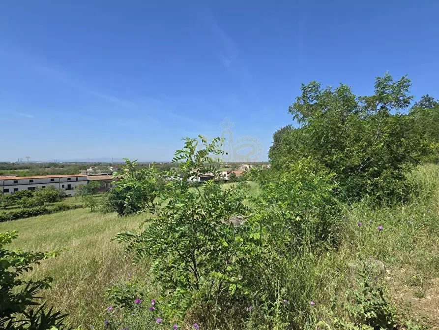 Immagine 15 di Terreno agricolo in vendita  in Via Carmignano a Maddaloni