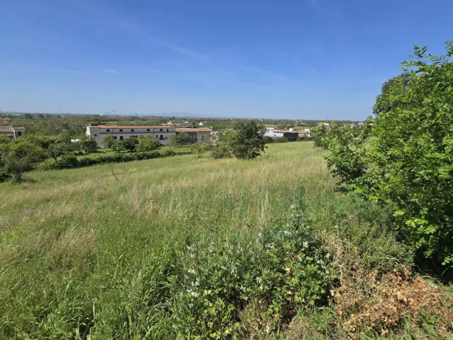Immagine 1 di Terreno agricolo in vendita  in Via Carmignano a Maddaloni