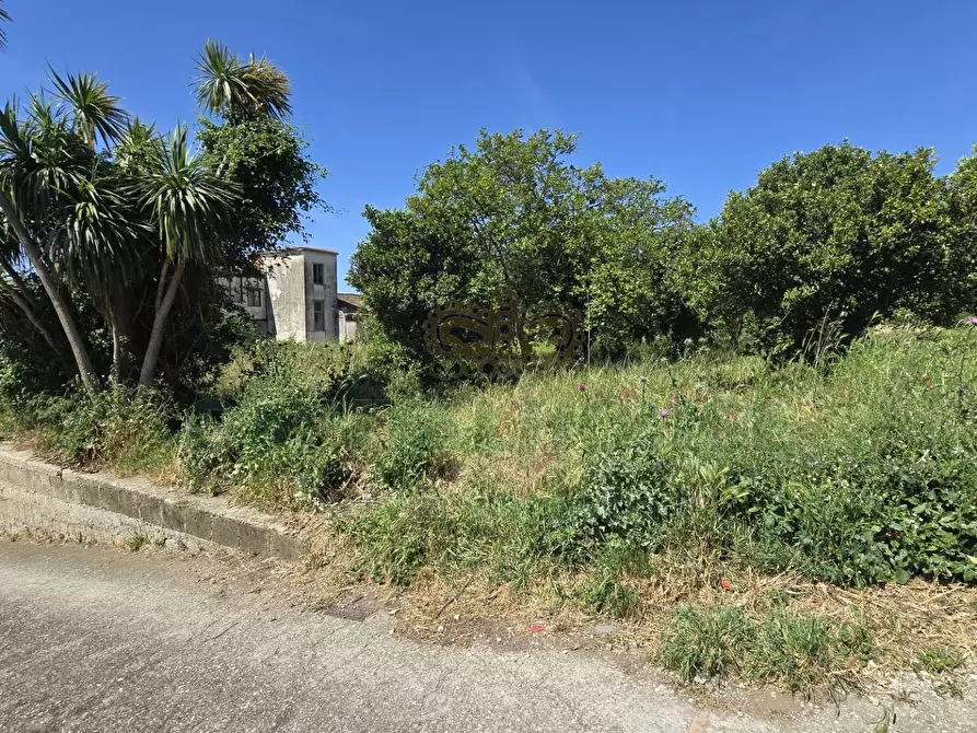 Immagine 9 di Terreno agricolo in vendita  in Via Carmignano a Maddaloni