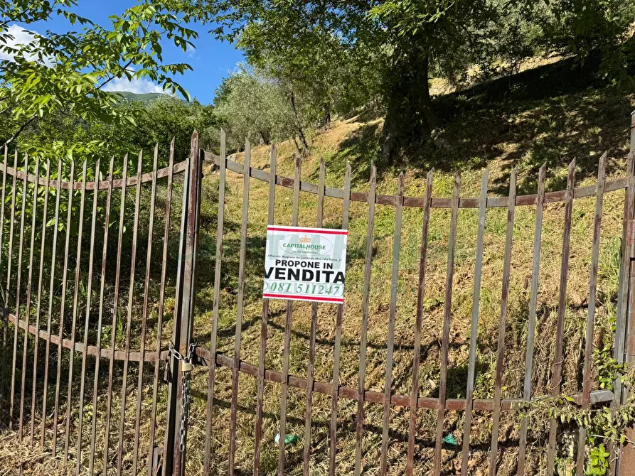 Immagine 1 di Terreno residenziale in vendita  in quadrelle a Quadrelle