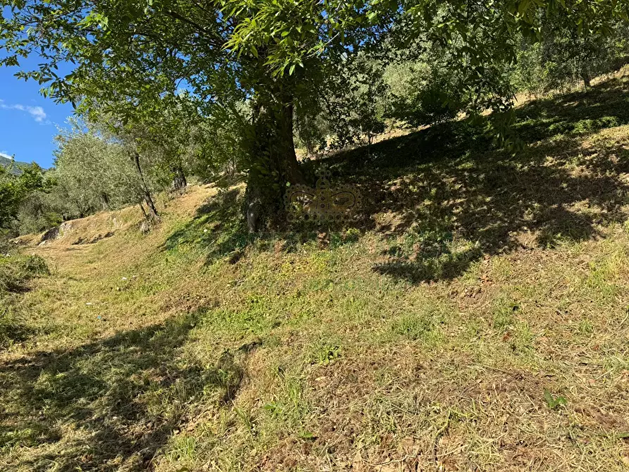 Immagine 6 di Terreno residenziale in vendita  in quadrelle a Quadrelle