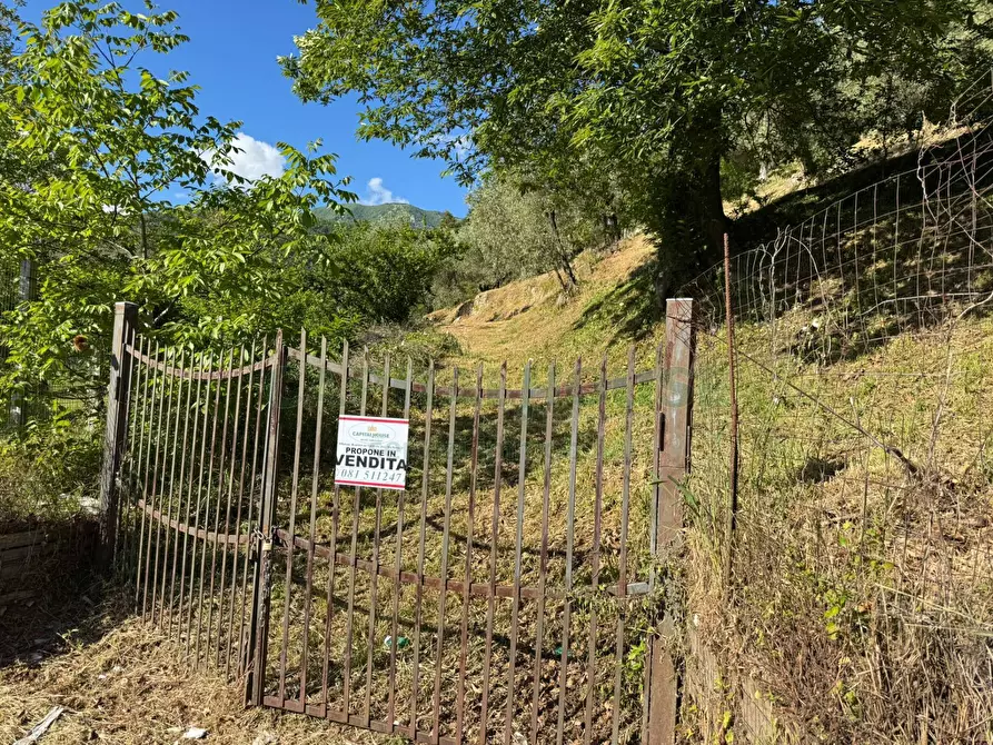 Immagine 14 di Terreno residenziale in vendita  in quadrelle a Quadrelle