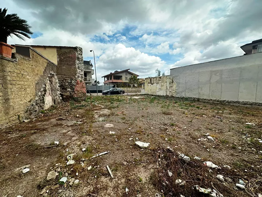 Immagine 6 di Terreno residenziale in vendita  in VIA CIMAROSA a San Tammaro