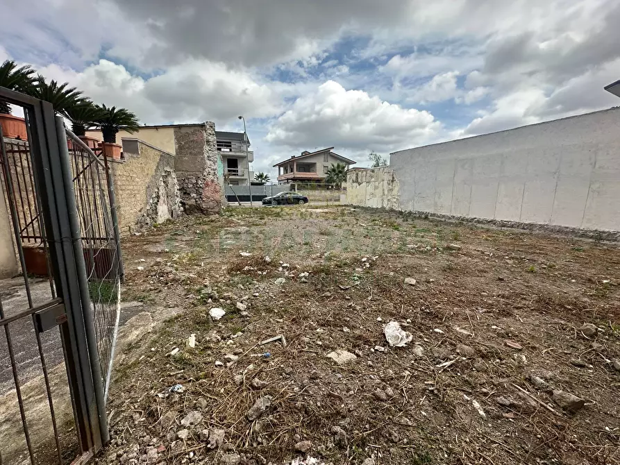 Immagine 7 di Terreno residenziale in vendita  in VIA CIMAROSA a San Tammaro