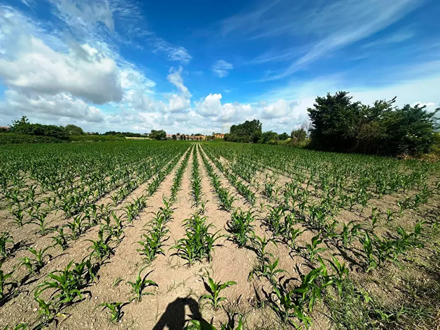 Immagine 2 di Terreno agricolo in vendita  in MASSERIA ADINOLFI a Capua