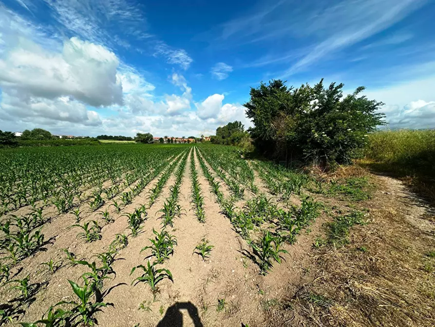 Immagine 4 di Terreno agricolo in vendita  in MASSERIA ADINOLFI a Capua
